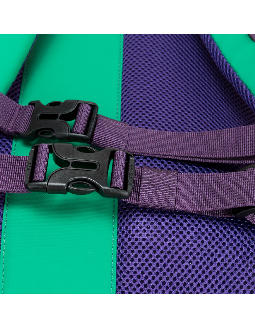Dayle Roll Top Backpack 21/25L