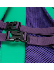 Dayle Roll Top Backpack 21/25L